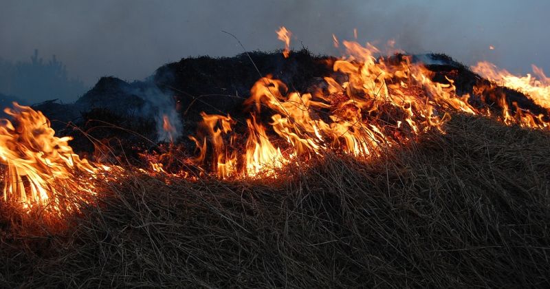 Variešu pagastā dzēsts lielākais kūlas ugunsgrēks Latvijā