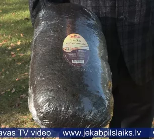 Jēkabpils novada pirmklasniekiem dāvā maizes klaipus