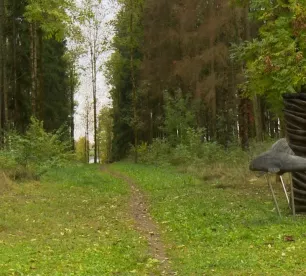 Prezentē Jēkabpils Mežaparka ainavu tematisko plānojumu