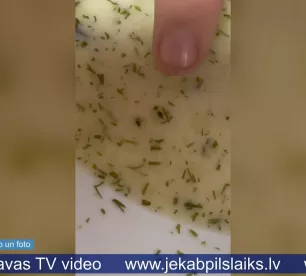 Skolēni ēdnīcas zupā atrod kukaiņus