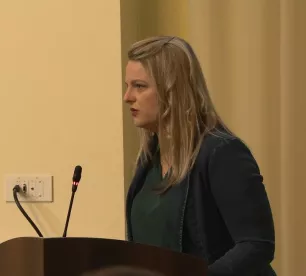 Īss ievads - par ko lems deputāti