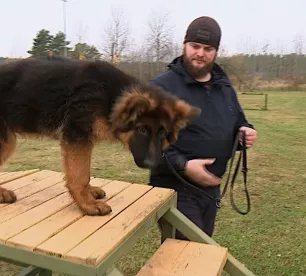 Jēkabpils kinologs policijas dienestam apmāca jaunu suni