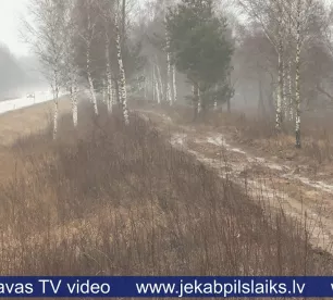 Bez izmeklēšanas noslēdzas lieta par izcirstajiem krūmiem Salas pagastā