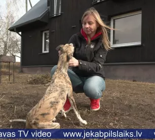 Lūsis terorizē saimniecību Zalves pusē