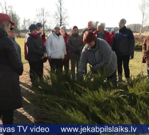 Daiļdārzniecības noslēpumi atdzīvina Aleksandra Grīna parku