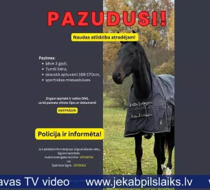 Ābeļu pagasta saimnieki meklē trīsgadīgo ķēvīti vārdā Zizī