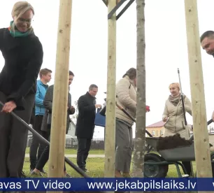 Latvijas notāri Jēkabpilī aizsāk koku stādīšanas tradīciju reģionos