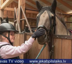 “Mīļdzīvnieku biedrība” cīnās par finansējumu