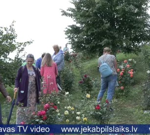Saukas pusē aizvadītas ceturtās “Rožu dienas”
