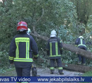 Vairākas dienas Pils rajonā ceļu bloķē nogāzts koks