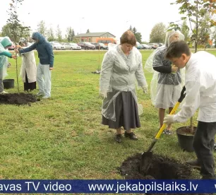 Jēkabpils novada Zīlānos top Laimes koku parks