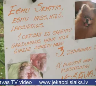 Jēkabpilī šauj uz mājdzīvniekiem – iedzīvotāji panikā