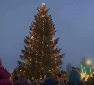 Jēkabpilī atklāj pilsētas galveno Ziemassvētku egli