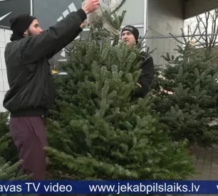 Ziemassvētku eglīšu cenas reģionos svārstās no 25 līdz 80 eiro