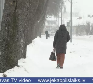 Pie Jēkabpils Valsts ģimnāzijas augošie koki rada apdraudējumu – vietvara kopšanas vietā izvēlas ciršanu