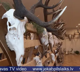 Medību trofeju izstāde Viesītē pulcē 30 novada mednieku kolektīvus