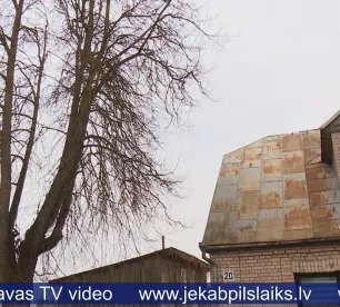 Aktuāli par koku zāģēšanu un stādīšanu Jēkabpils novadā