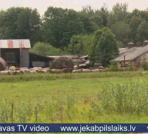 Cūku mēris Vīpes pagasta novietni skāris biodrošības prasību neievērošanas dēļ