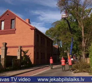 Jēkabpilī zāģē slimus un bīstamus kokus