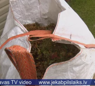 Jēkabpilī arī šogad bez maksas izvedīs koku lapas