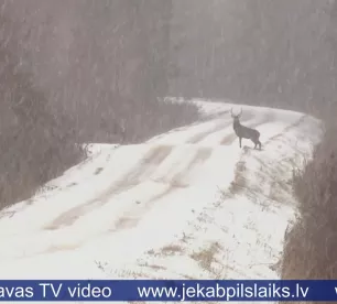 Jēkabpils novadā būs trīs jauni dabas liegumi