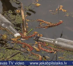 Jēkabpils novads aicina pieteikt Lielās Talkas vietas