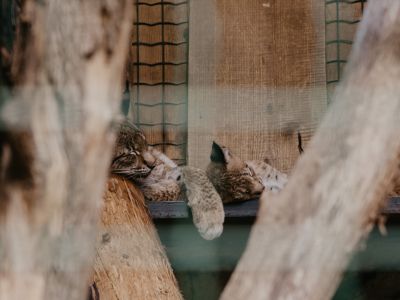 Jēkabpils Laiks: Jēkabpils ziņas