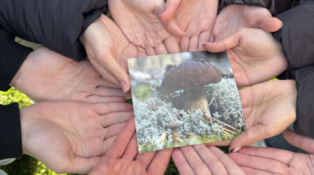 Izaicinājumu “3 kilometri un 30 sekundes” Jēkabpils novadā pieveikuši teju 1000 dalībnieki