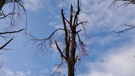 Krāslavas novadā nokritušais drons