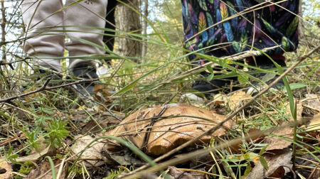 Izaicinājumu “3 kilometri un 30 sekundes” Jēkabpils novadā pieveikuši teju 1000 dalībnieki