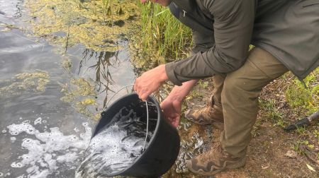 Jēkabpils novada ūdenstilpēs papildināti zivju resursi 