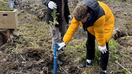 Jēkabpils skolēni Kūku pagastā stāda mežu 