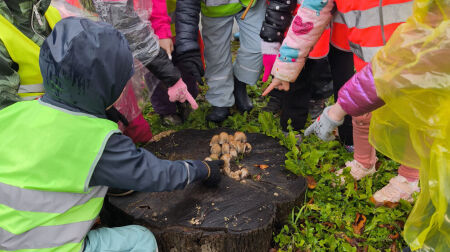 Izaicinājumu “3 kilometri un 30 sekundes” Jēkabpils novadā pieveikuši teju 1000 dalībnieki