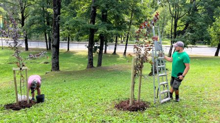 Aknīstes Sēļu parkā veido dekoratīvos stādījumus
