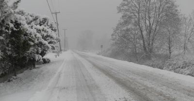 Sēlpils pagastā autoavārijā traumas guvuši divi cilvēki