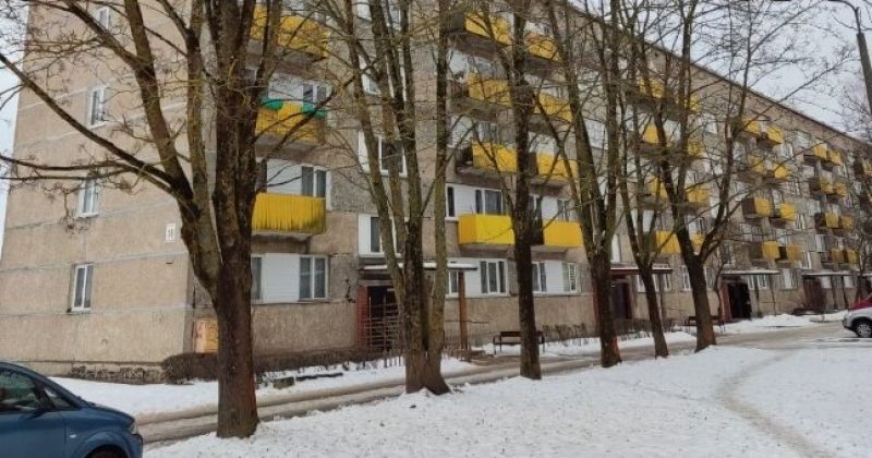 Rīko publisko apspriešanu par 56 koku nociršanu Viesītes un Nameja ielas mikrorajonā