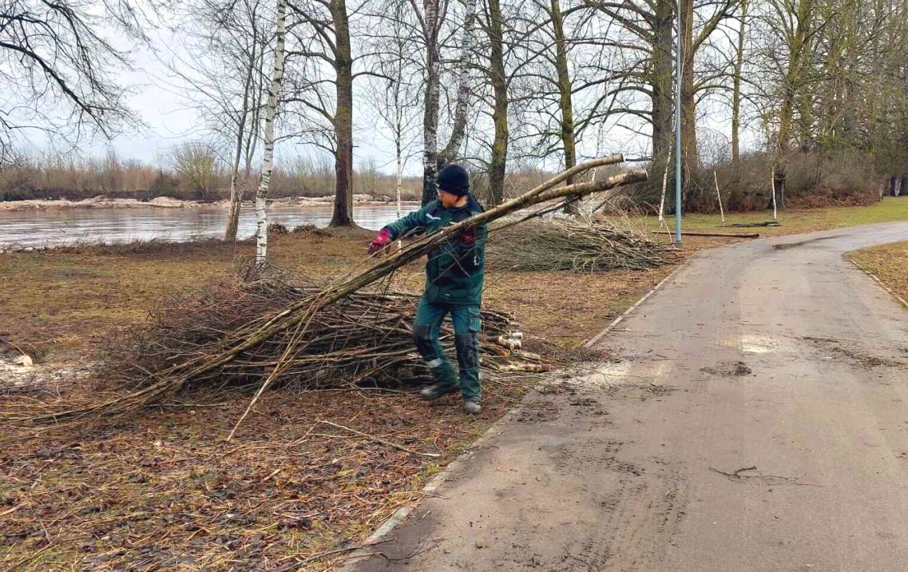 Sākti Krustpils saliņas sakopšanas darbi