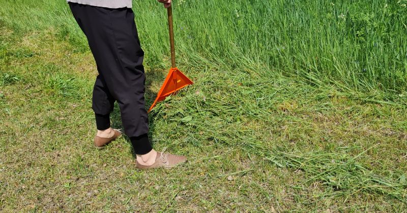 Šovasar Jēkabpils novadā tiks nodarbināts 201 skolēns