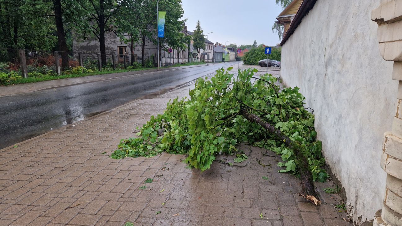 Jēkabpils novadā vētra lauzusi kokus un traucējusi elektroapgādi