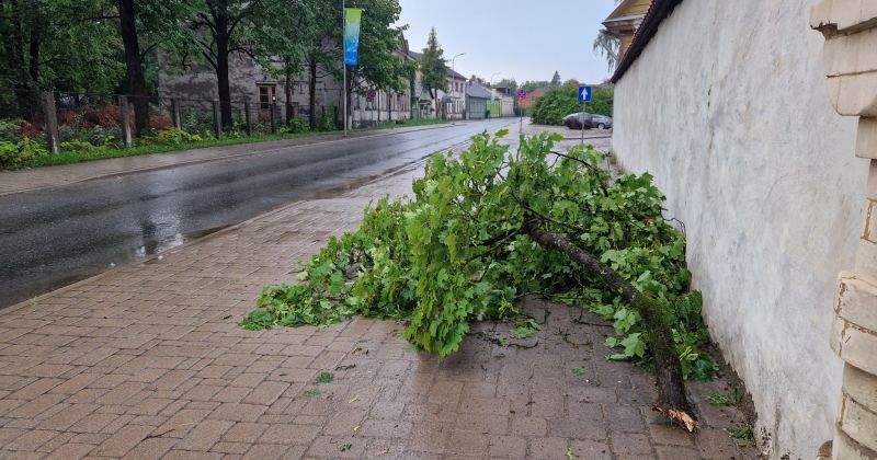 Jēkabpils novadā vētra lauzusi kokus un traucējusi elektroapgādi