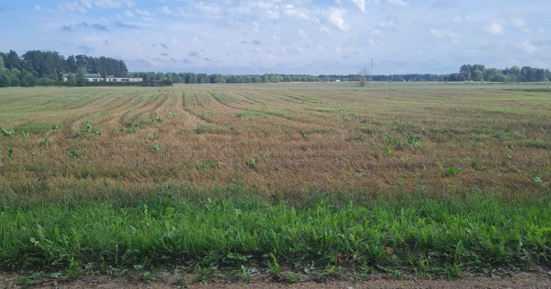 Ābeļu pagastā plāno veidot infrastruktūru ģimeņu māju apbūvei