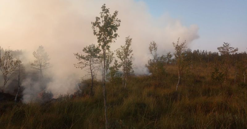 Atašienes pagastā turpinās ugunsgrēka teritorijas uzraudzība purvā