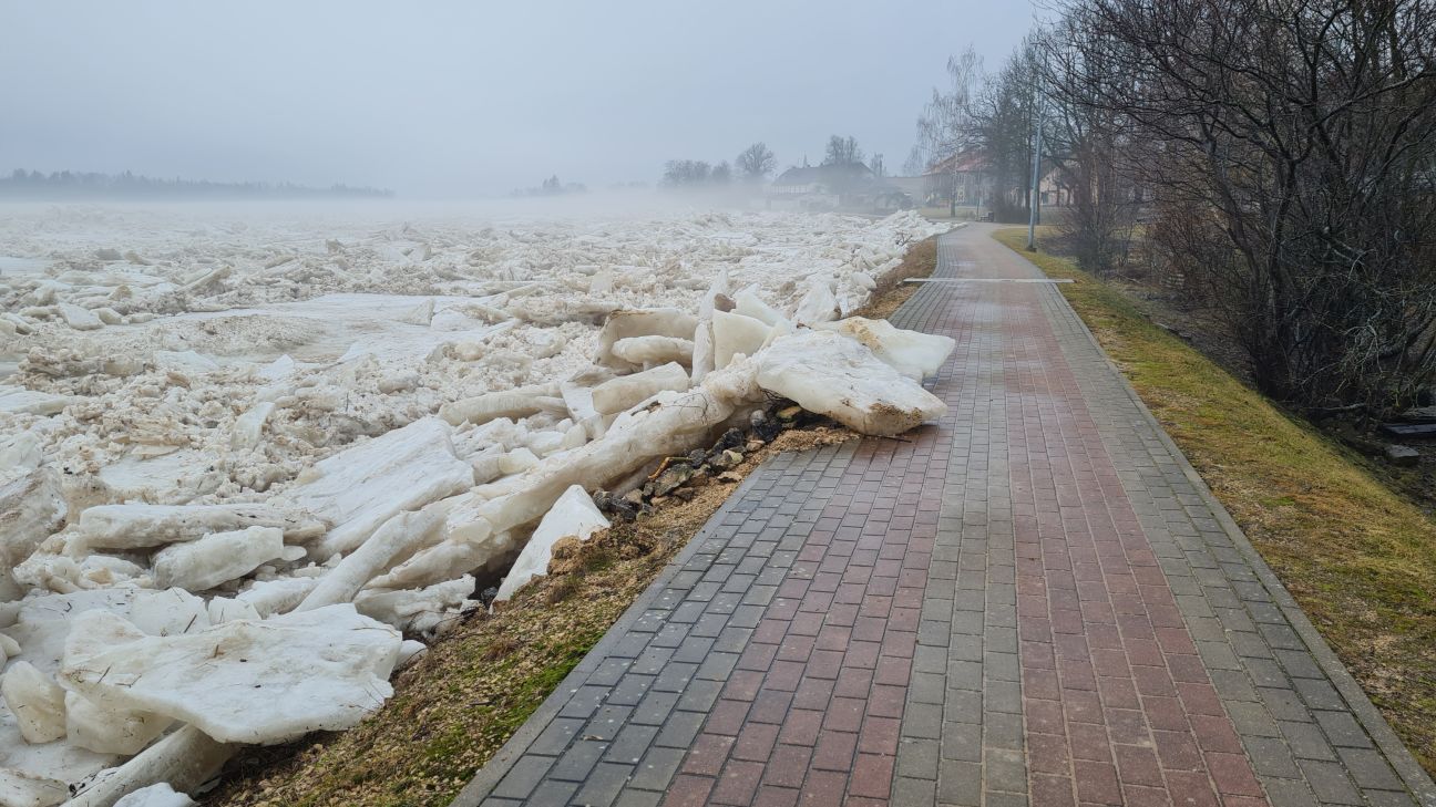 Pļaviņās izveidojies liels vižņu sastrēgums