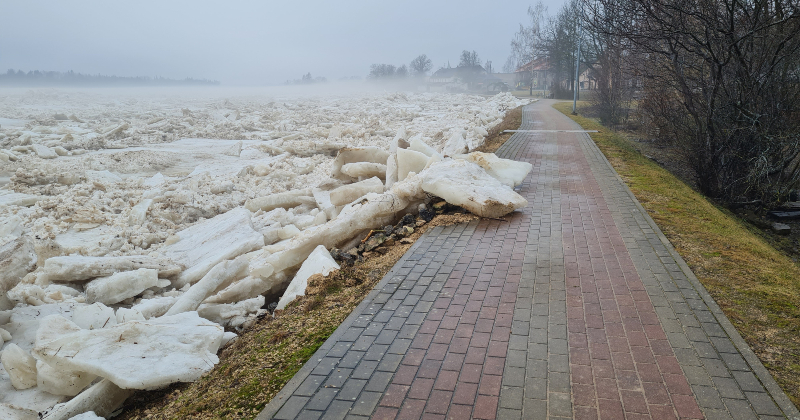 Pļaviņās izveidojies liels vižņu sastrēgums