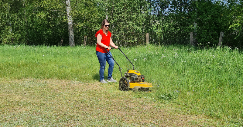  Līvānu novadā zāliena garums nedrīkst pārsniegt 20 centimetrus