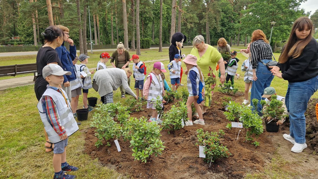Līvānos “Rūķīši” papildina rododendru dārzu