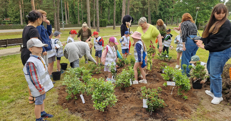 Līvānos “Rūķīši” papildina rododendru dārzu