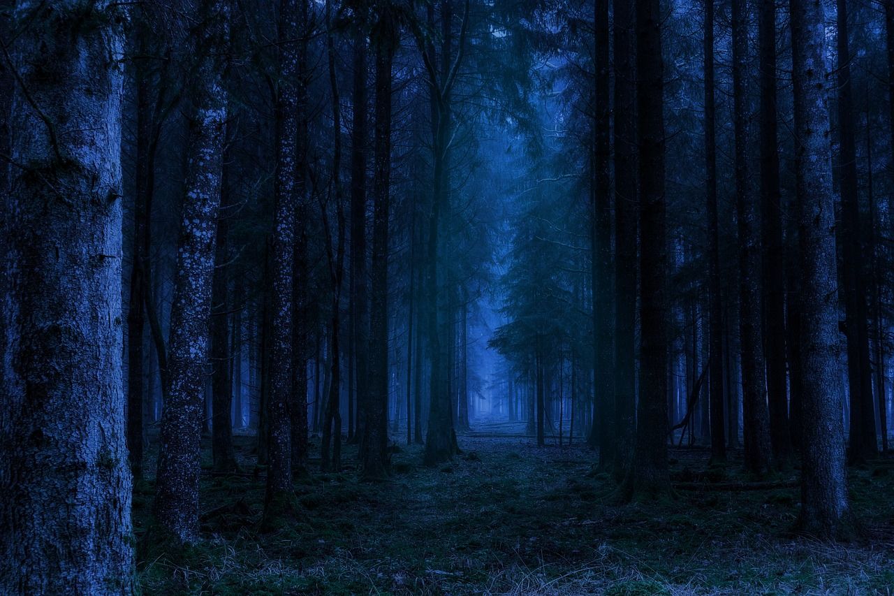 Halovīnos Mežaparks pārvērtīsies par Ēnu valstību