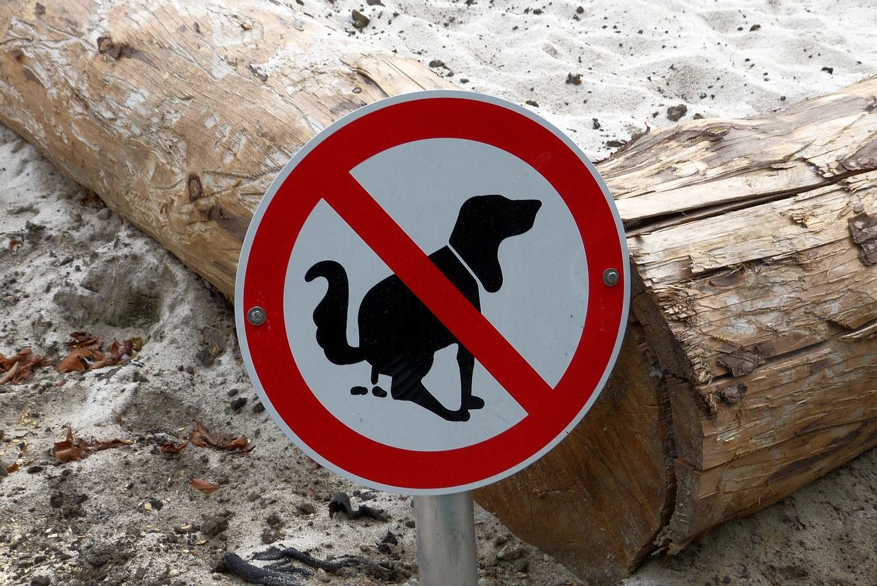 Jēkabpils novada pašvaldība brīdina: nesavāksi – maksāsi sodu