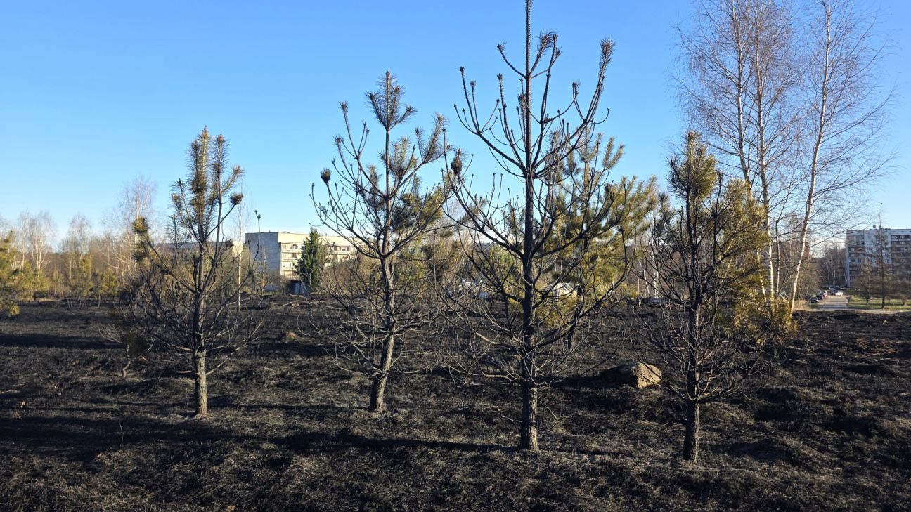 Jēkabpilī glābēji cīnās ar kūlas ugunsgrēkiem vairāku hektāru platībā
